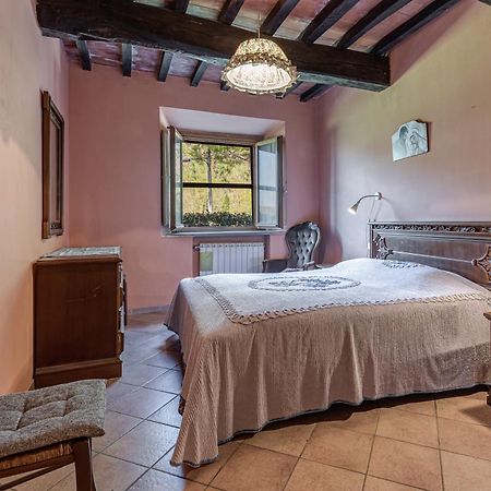 Agriturismo Il Ponte - Frantoio Vicchio Esterno foto