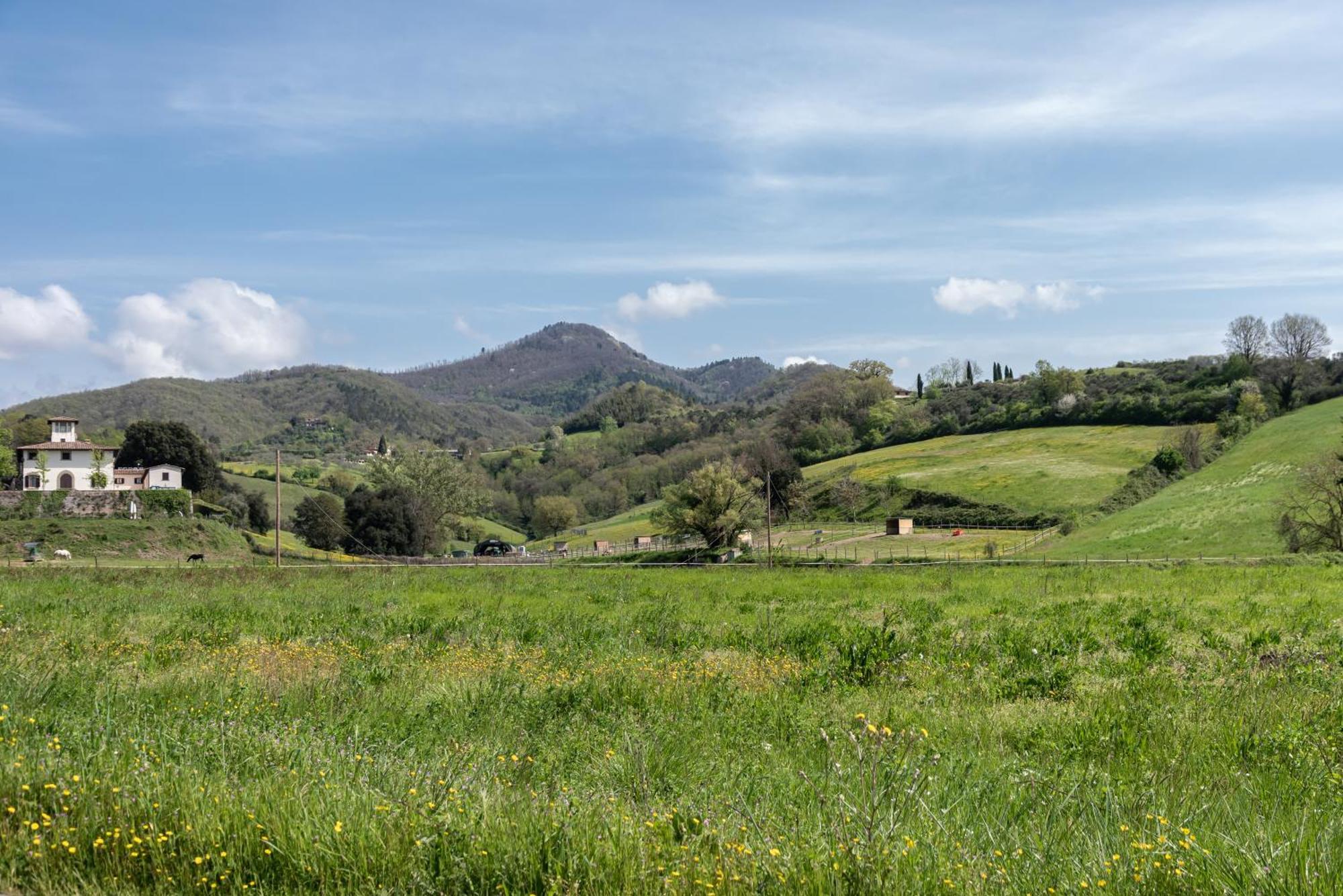 Agriturismo Il Ponte - Frantoio Vicchio Esterno foto